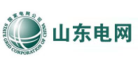 新河山东电网